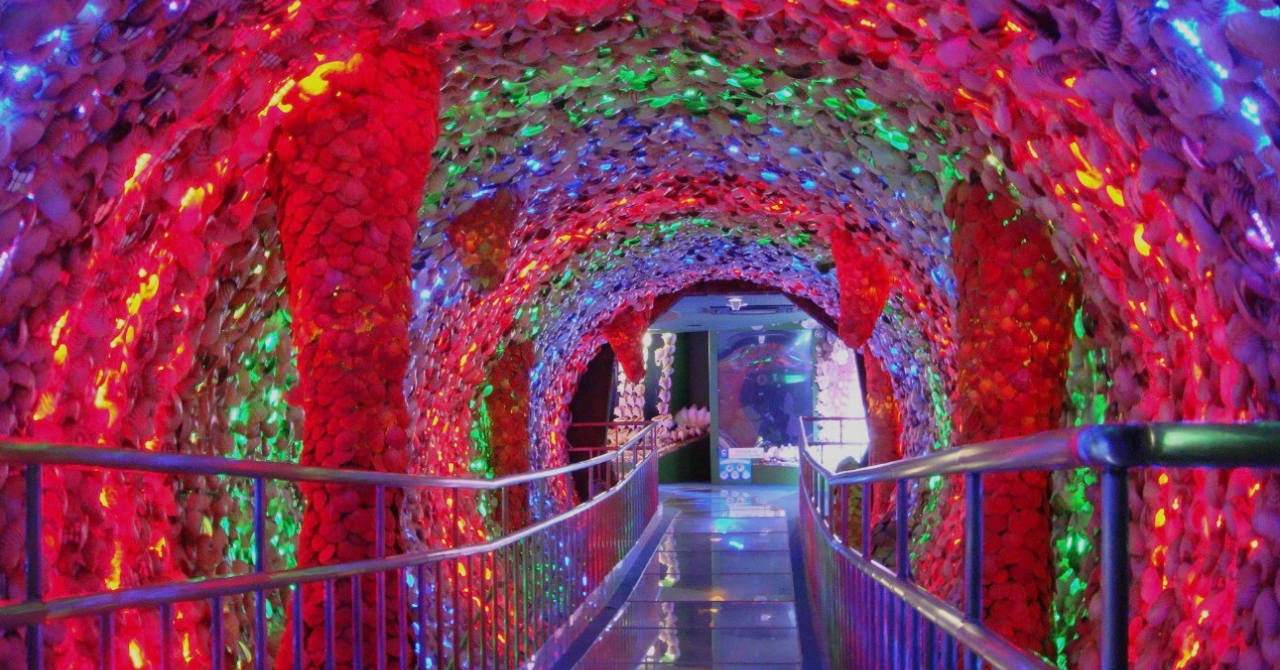 【2026年最新版】竹島ファンタジー館完全ガイド｜見どころ・料金・所要時間・レビューまとめ