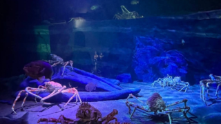 【2026年最新版】竹島水族館完全ガイド｜料金・駐車場・所要時間・見どころを徹底レビュー