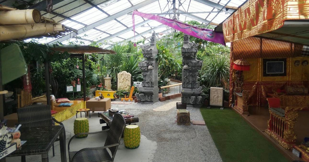 【2026年最新版】トロピカルフルーツのジャングル探検植物園 小川農園｜料金・所要時間・見どころを紹介